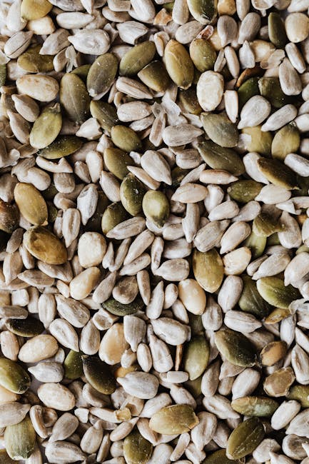 Recipe for  pumpkin seed smash a pumpkin seed float