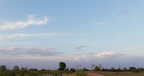 Základová fotografie zdarma na téma jasná modrá obloha, jasná obloha, krásná obloha