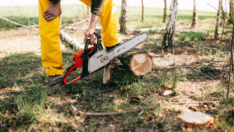 Crop Lumberman Sawing Log With Electric Power Saw