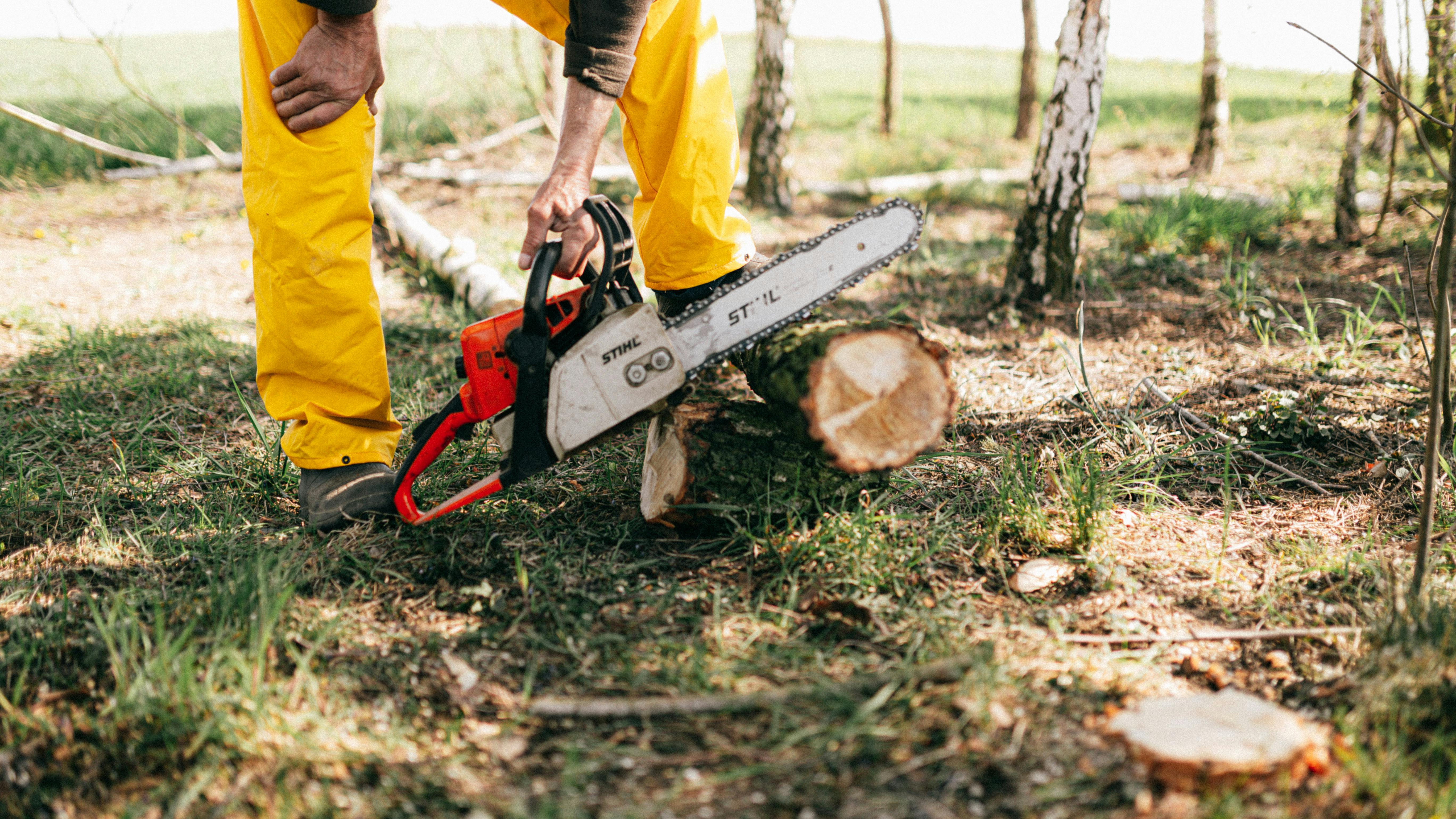 Wood Cutter Photos, Download The BEST Free Wood Cutter Stock Photos & HD  Images