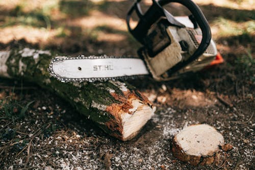 Powerful modern gas chainsaw with steel blade lying on ground near cut log and shrub in forest on sunny weather