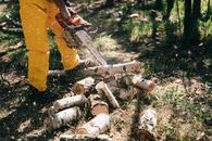 Lower body of crop anonymous person in yellow trousers lumbering log with gas chain saw in forest on summer day