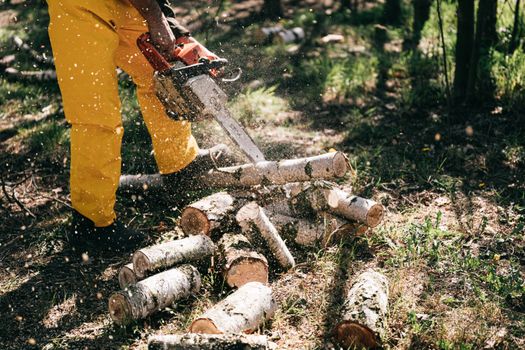 Lower body of crop anonymous person in yellow trousers lumbering log with gas chain saw in forest on summer day