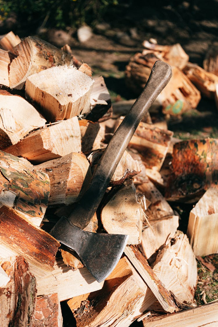 Axe Placed On Woods In Forest