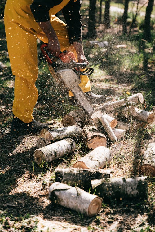 Crop anonymous lumberjack in yellow workwear cutting trunks with gas chain saw in green forest during sunny day