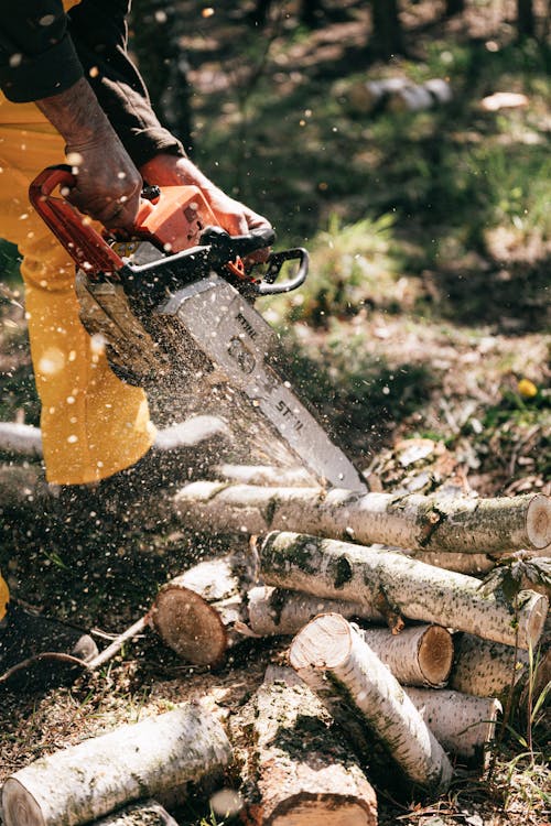 Free Photo of Person Using Chainsaw Stock Photo