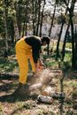 Lumberjack with firewood and chainsaw