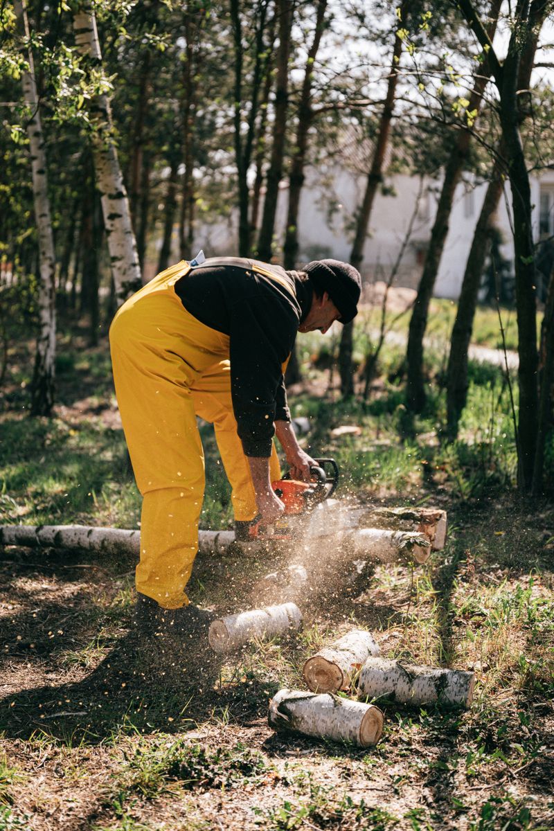 Worker cutting a fallen storm-damaged tree with a chainsaw