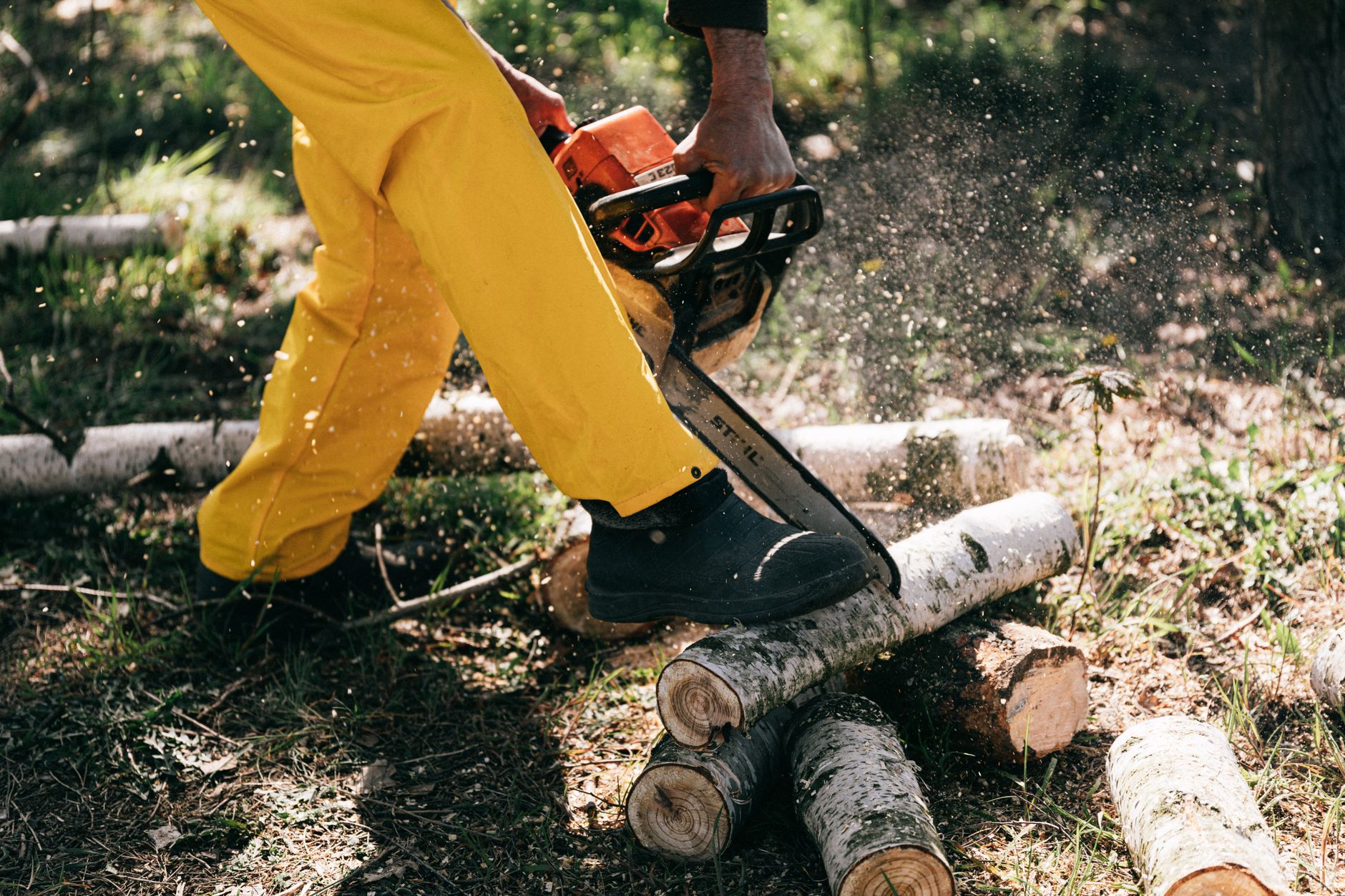 Best Battery Chainsaws for Yard Work and Firewood Cutting
