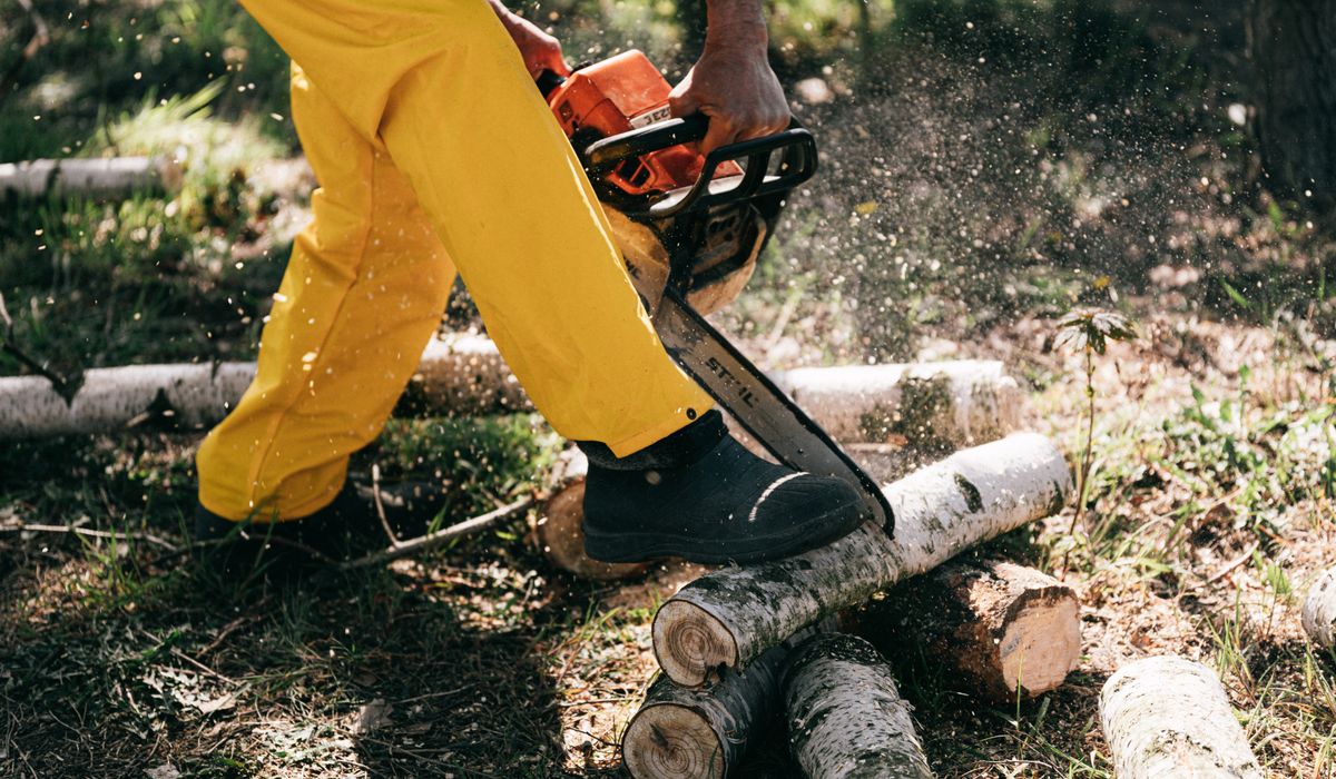 Tree Cutting in Centurion