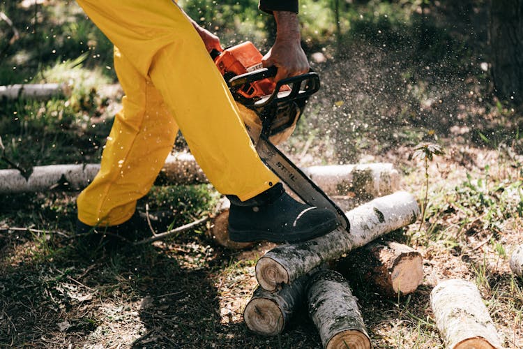 Crop Man Cutting Log With Chainsaw