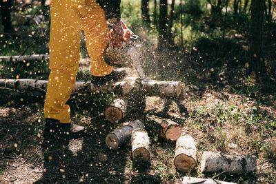 Person operating a chainsaw with sawdust flying while cutting a log