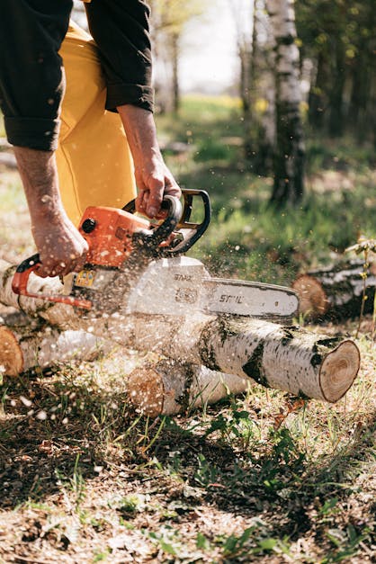 Person Using Chainsaw · Free Stock Photo