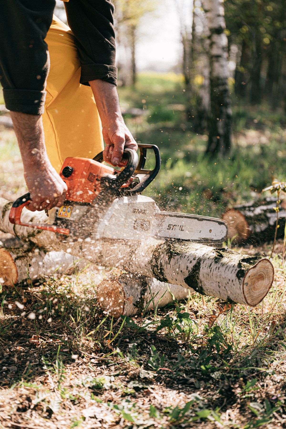 Person using a cordless saw outdoors to cut a branch