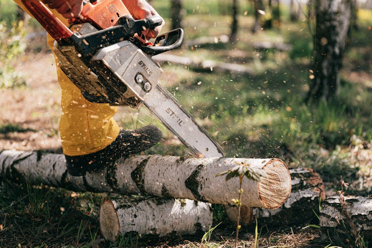 Photo Of Person Using Chainsaw