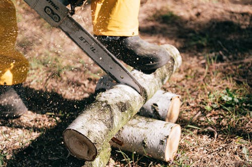 Free Person Using Chainsaw Stock Photo