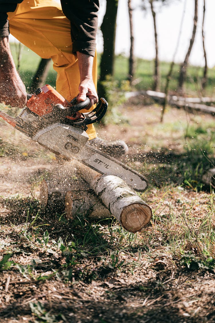 Person Using Chainsaw