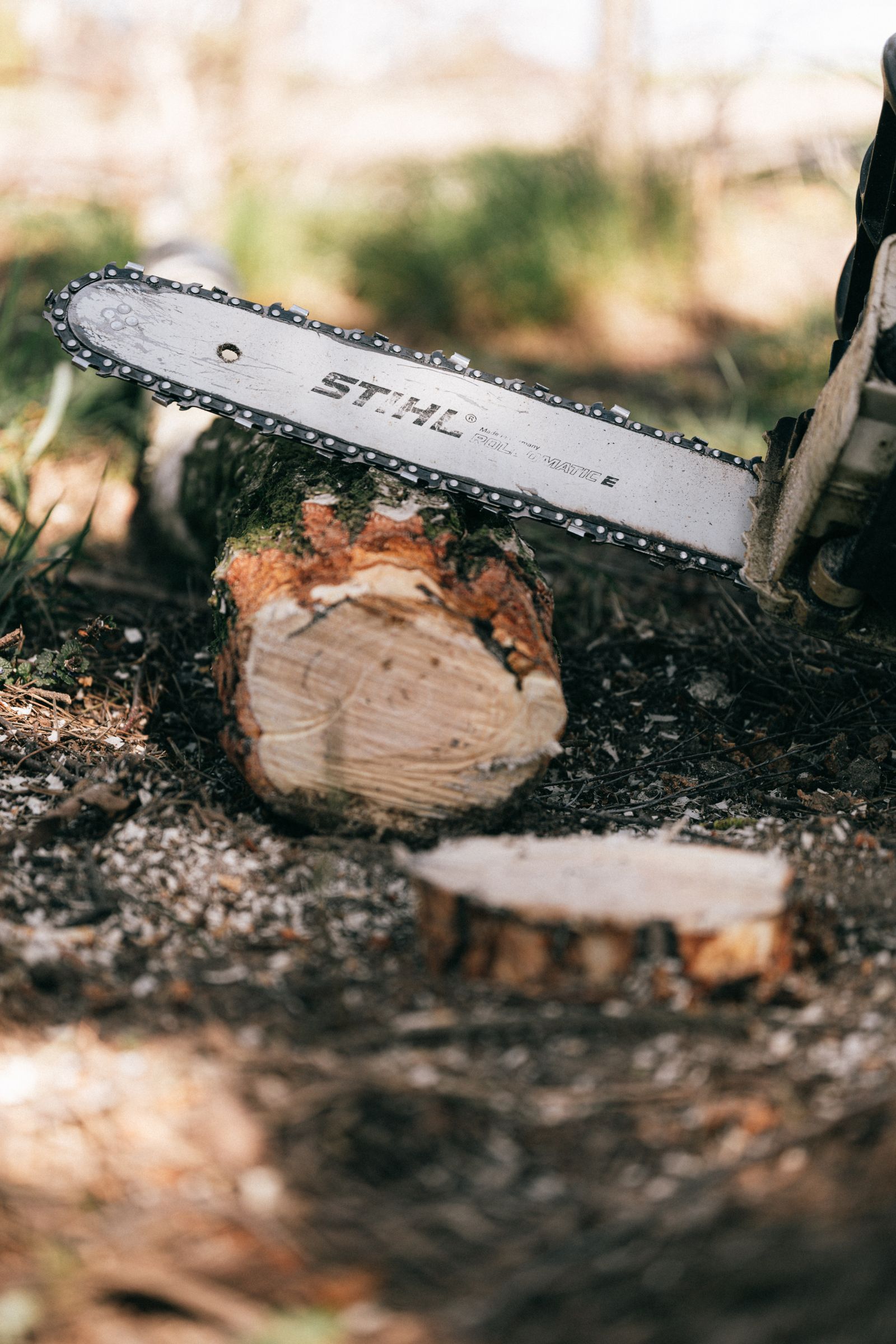 Professional tree service crew at work — Tree Service Website Design Cape Coral: Lead Capture & ROI — Cape Coral, FL