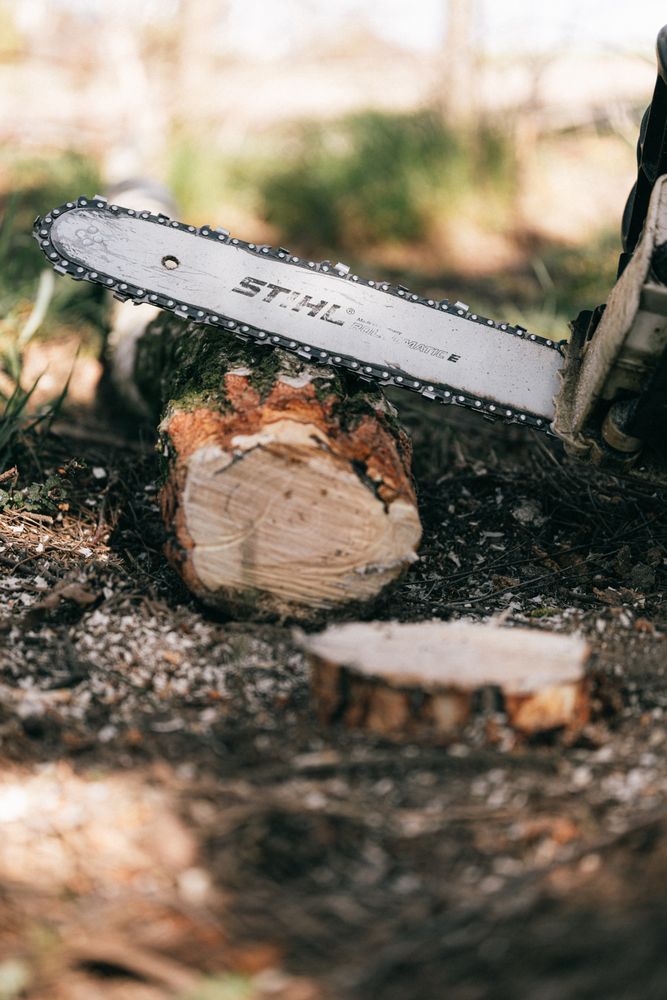 Logging Chain Photos, Download The BEST Free Logging Chain Stock Photos ...