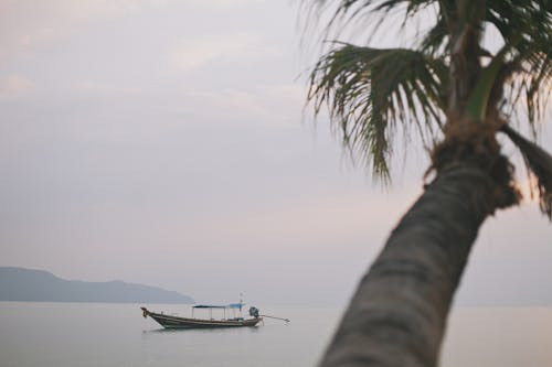 Motorboat anchored on Sea