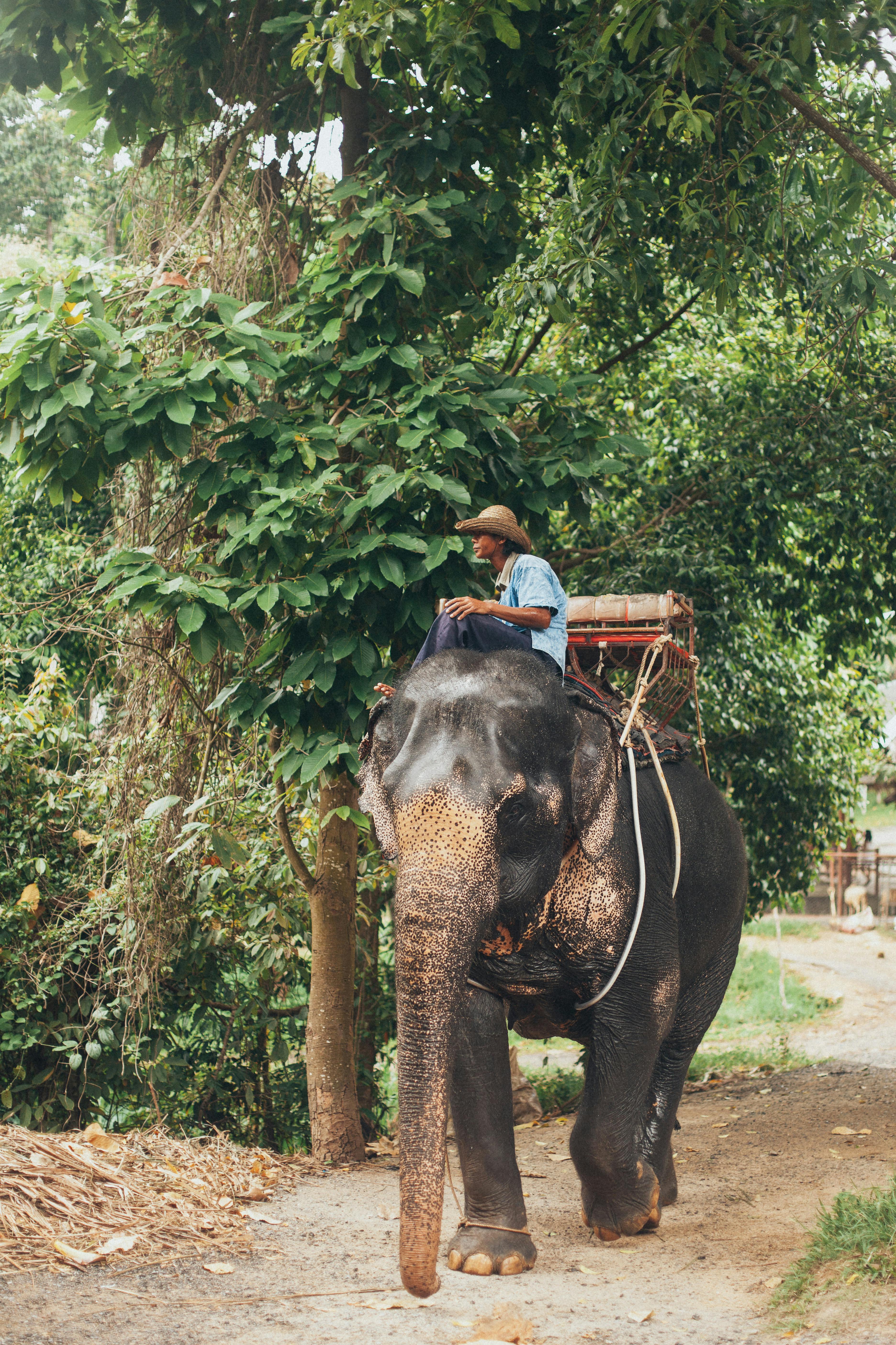 Koh Mook