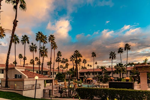 Free stock photo of clouds, palmtrees, socal