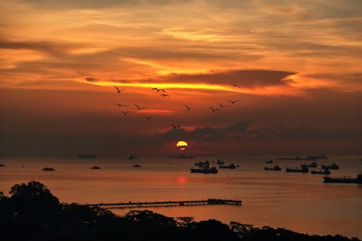 日落时分，鸟儿翱翔在宁静的天空下，海面上船只散落