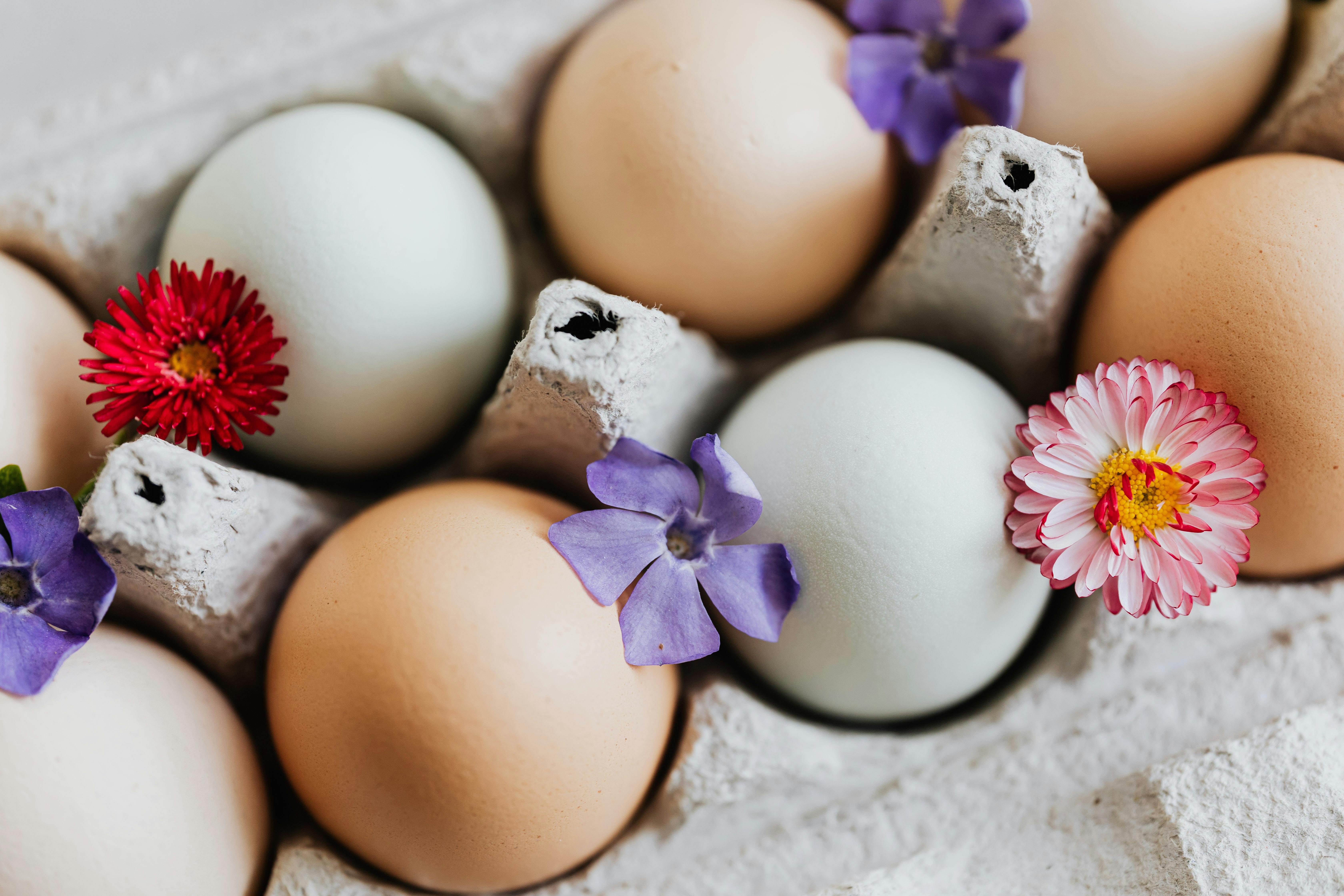 Eggs and Flowers · Free Stock Photo
