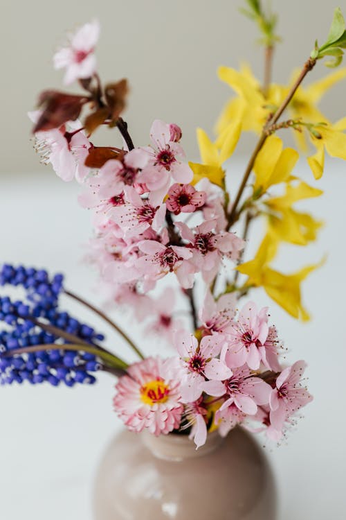 Kostenloses Stock Foto zu blühen, blumen, blumen in der vase