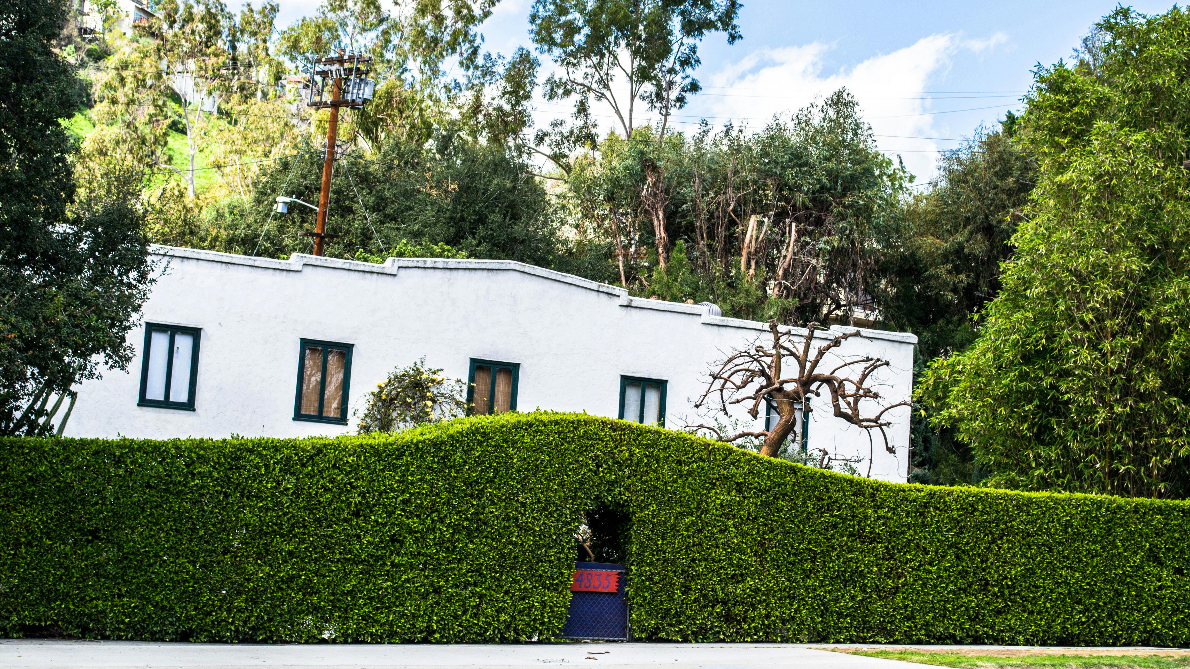 Free stock photo of architecture, blooming, california