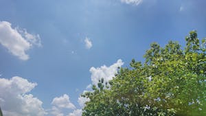 Minimalist Desk Lamp