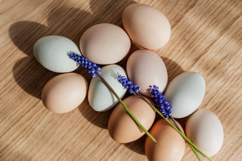 Free Eggs and Flowers Stock Photo