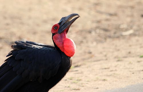 Custom textile design process