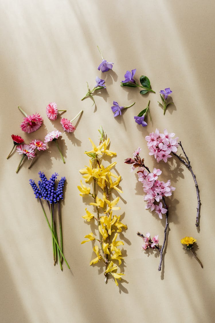 Fresh Twigs With Delicate Flowers On Beige Background