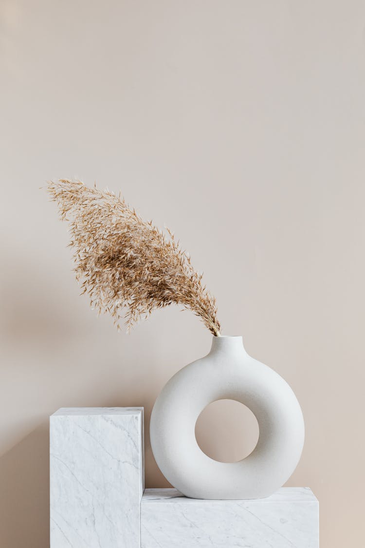 Brown Plant On White Ceramic Vase