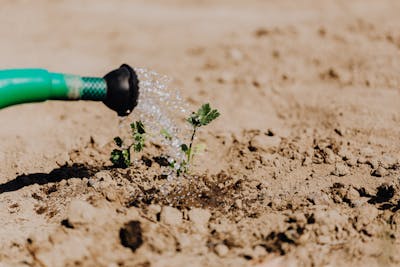 Artisan Ceramic Vase