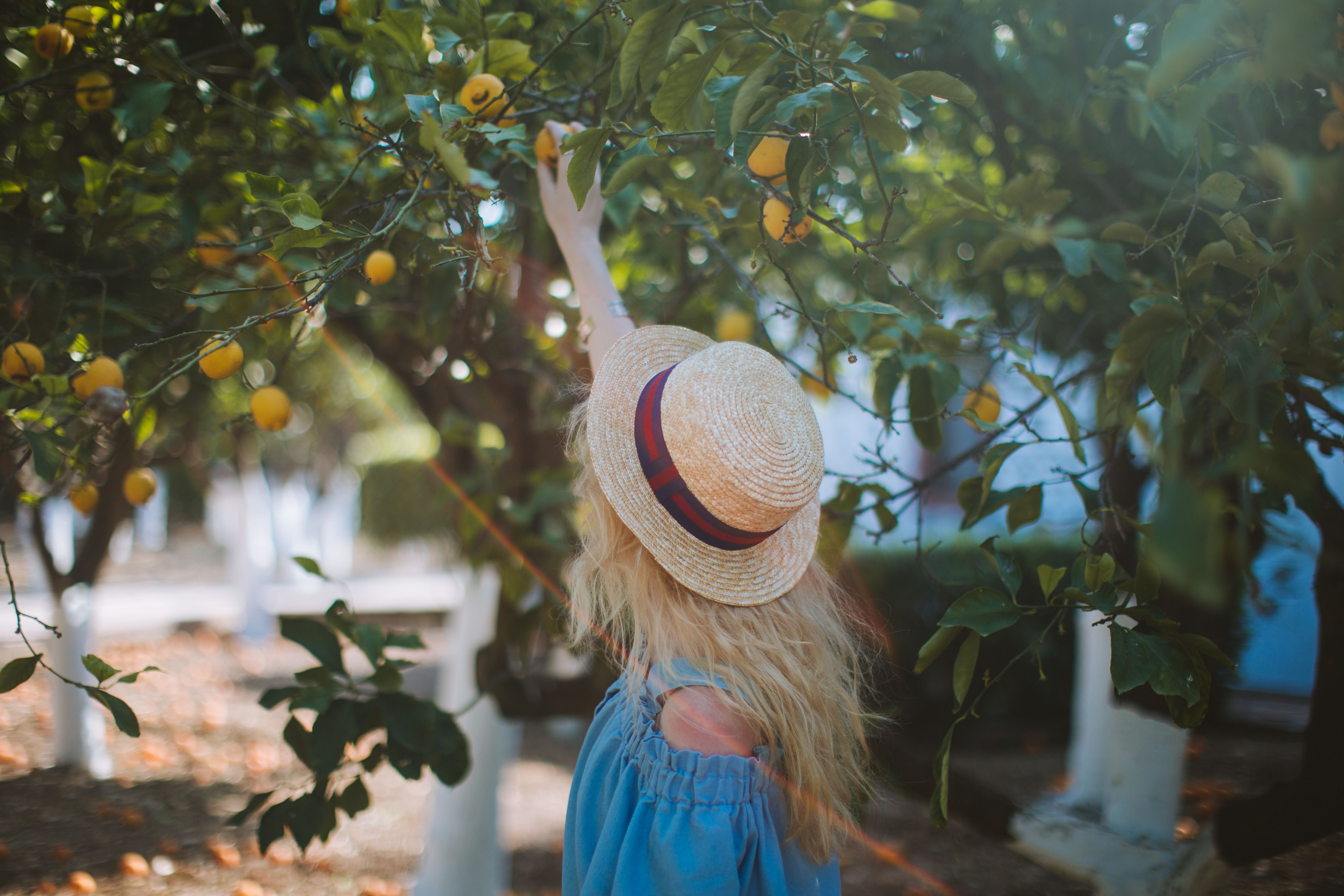 1000+ Zoom Arrière Plans photos Pexels · Photos gratuites
