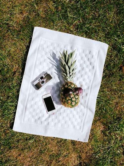 Kostnadsfri bild av ananas, kamera, picknick-filt