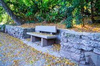 森林公园里有一张被落叶环绕的石凳，为人们提供了一个宁静的户外休憩场所