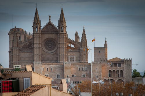 gratis Kathedraal Van Mallorca Stockfoto