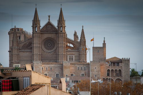 Foto d'estoc gratuïta de arquitectura, catedral, catedral mallorca