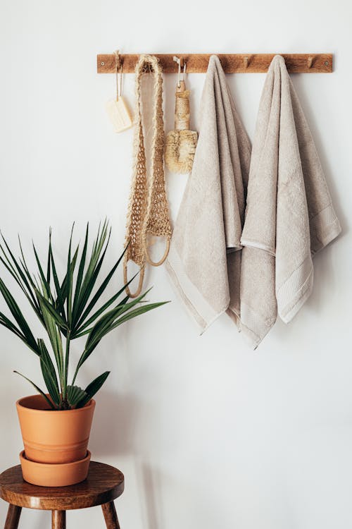 Free Stylish bathroom interior with houseplant on wooden table against white wall with hanging towels and set of eco friendly body care items Stock Photo