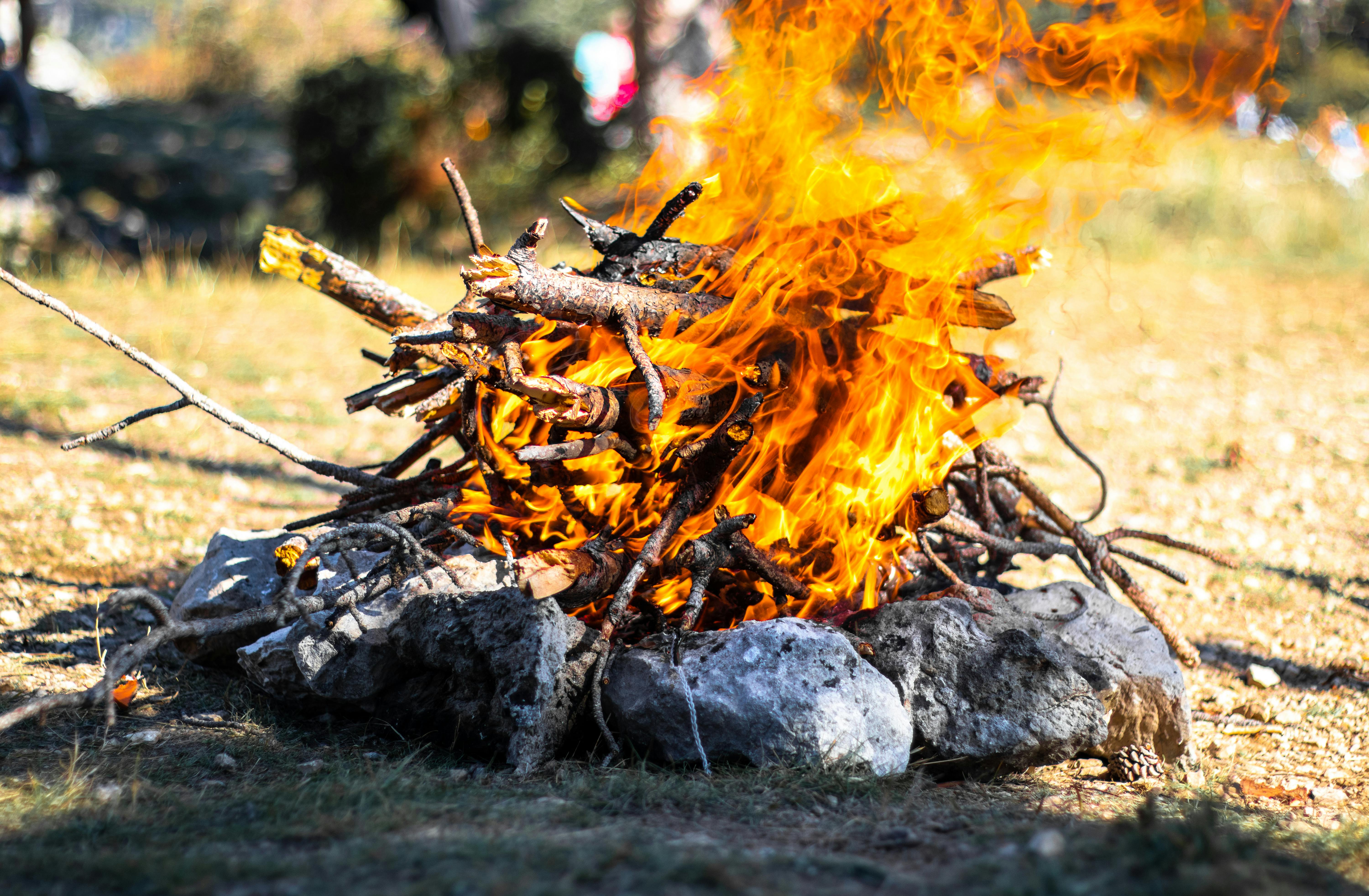 burning wood on the ground