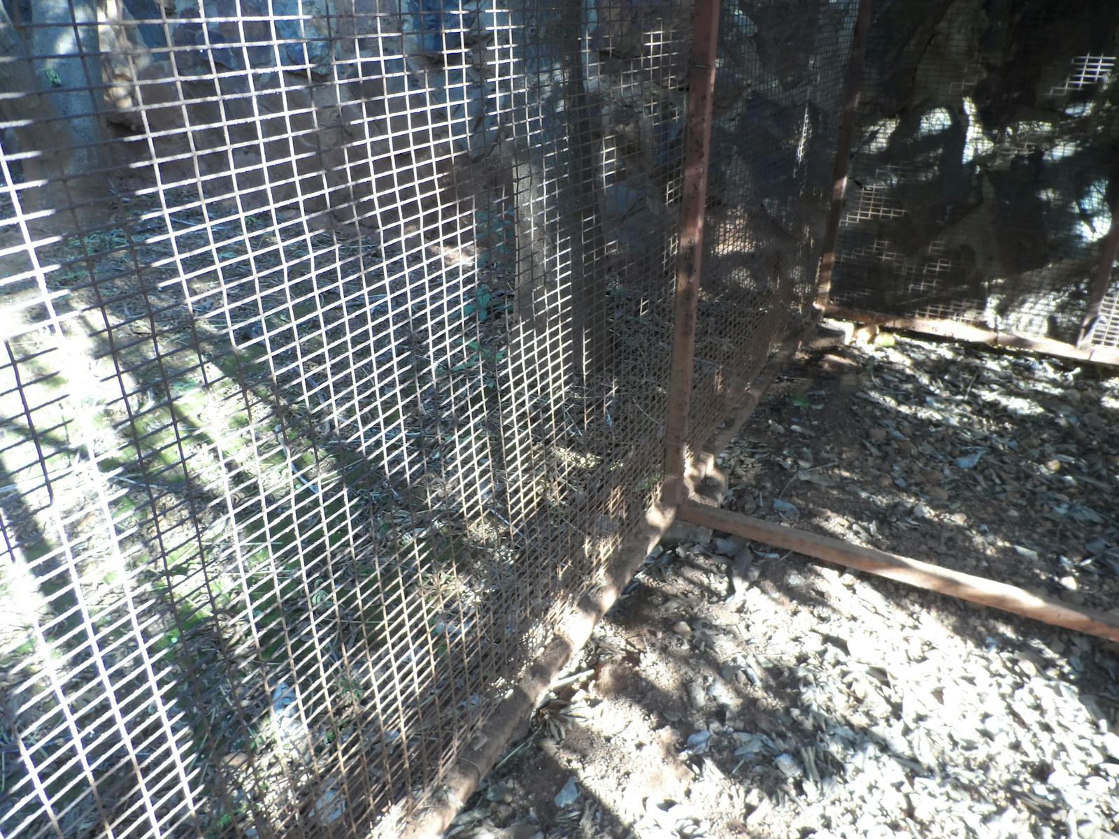 Vitamin supplements and a glass of water on a table