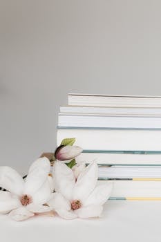 Composition with twig of white bloomy delicate Magnolia flower and stack of books placed on white desk against white background