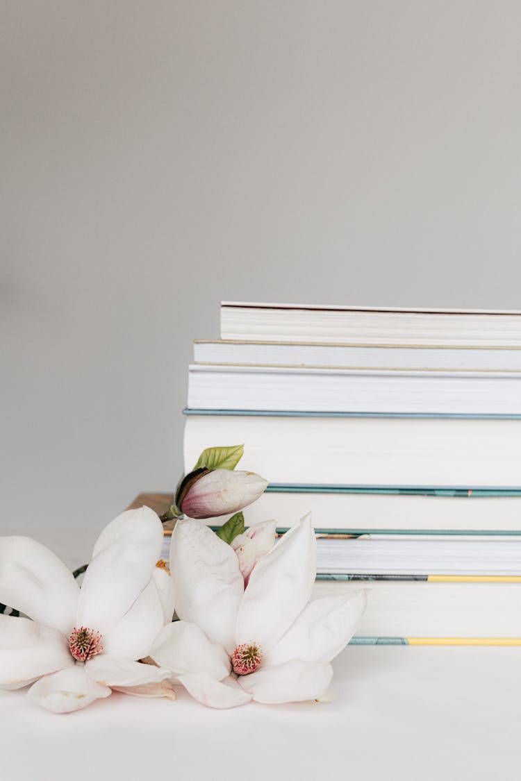 Stack Of Books Near Blooming Magnolia Flowers