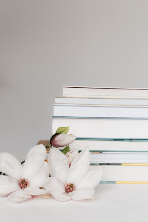 Free Composition with twig of white bloomy delicate Magnolia flower and stack of books placed on white desk against white background Stock Photo