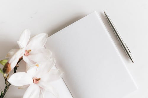 Top view composition of opened notebook with blank white sheets and stylish silver pen decorated with lush blooming Magnolia twig placed on white background