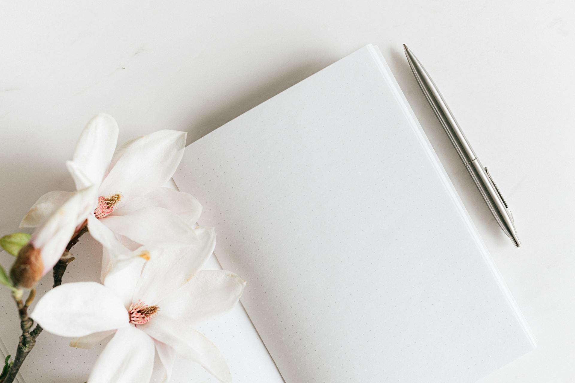 Top view composition of opened notebook with blank white sheets and stylish silver pen decorated with lush blooming Magnolia twig placed on white background