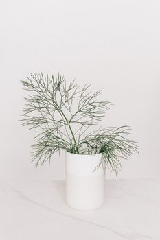 白色极简主义花瓶里插着绿叶细枝，置于大理石桌面上，背景为白色